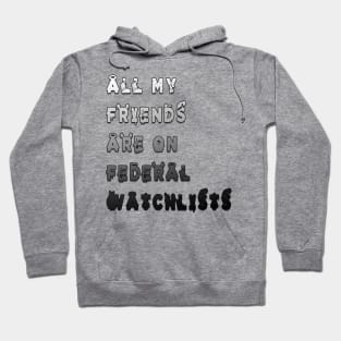 all my friends are on federal watchlists Hoodie